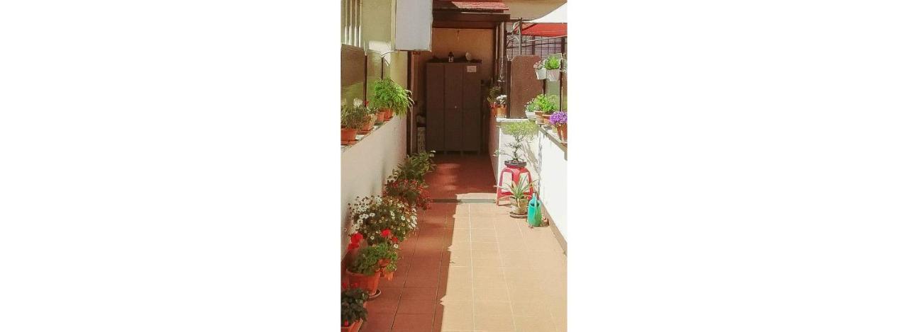 St. Peter Sweets Apartment Rome Bagian luar foto